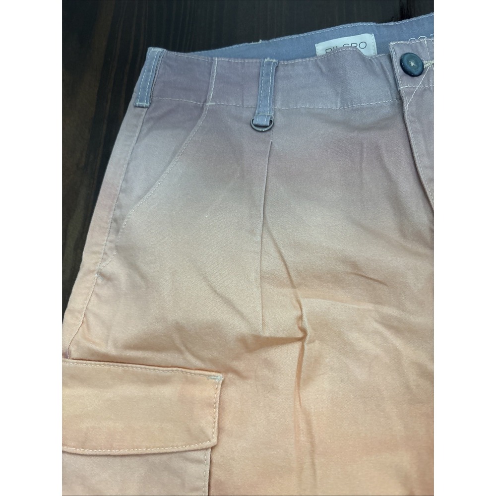 Anthropologie Pilcro RARE PHOTO SAMPLE NEW Sz 30 Joggers Rocky Mountain - Picture 6 of 14